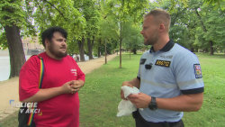 Policie v akci