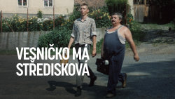 Vesničko má středisková