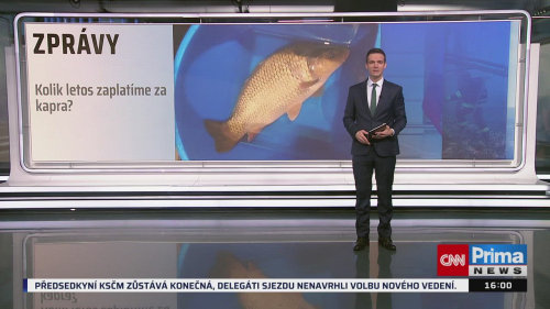 ZPRÁVY, 13.12. v 16:00
