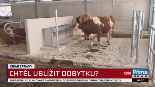 KRIMI ZPRÁVY, 13.4. v 16:30