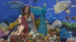 Neuvěřitelné dorty S4 (1)