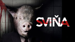 Sviňa