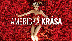 Americká krása