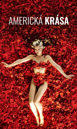 Americká krása
