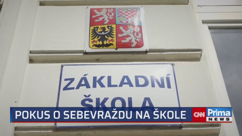 Šikana ve škole