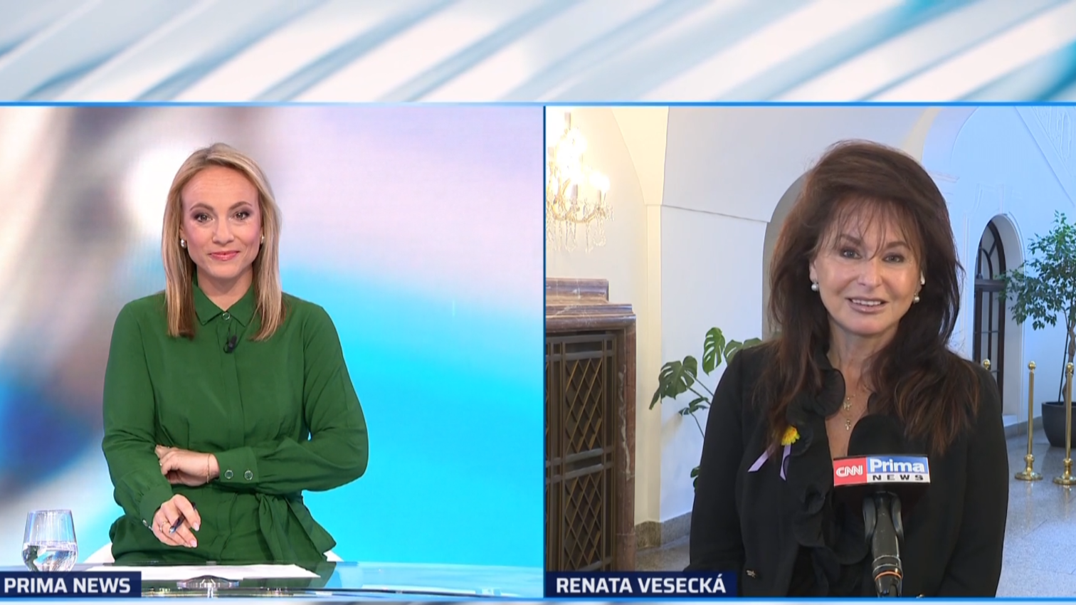 Náhled videa
