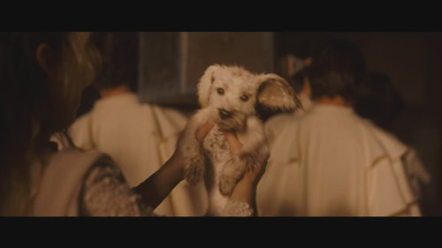 Nový trailer komiksového filmu Supergirl