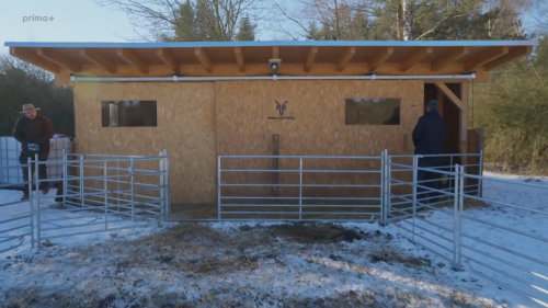 Vojta míní, příroda mění. Kolik jehňat se narodí - Farma Vojty Kotka (S2E1)