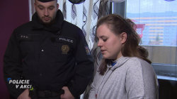 Policie v akci
