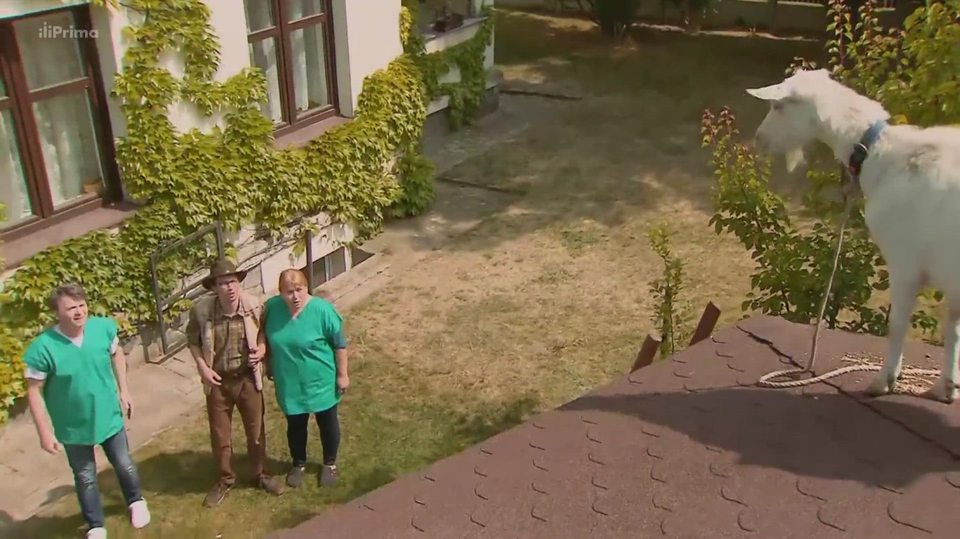 Krejzovi (3): Koza na střeše - Krejzovi - Prima Ženy