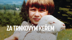 Za trnkovým keřem