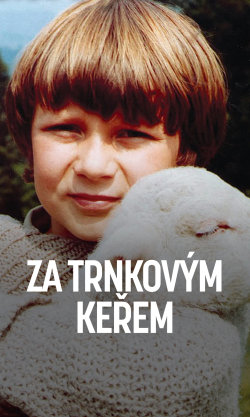 Za trnkovým keřem