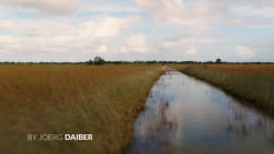 Nekonečný Everglades