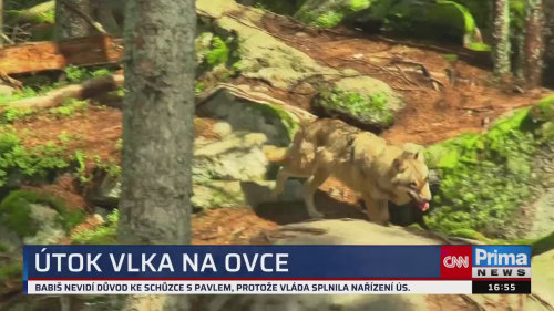 ZPRÁVY Z REGIONŮ, 1.7. v 16:55