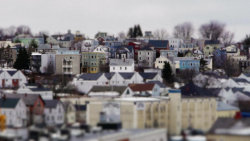Mini Maine