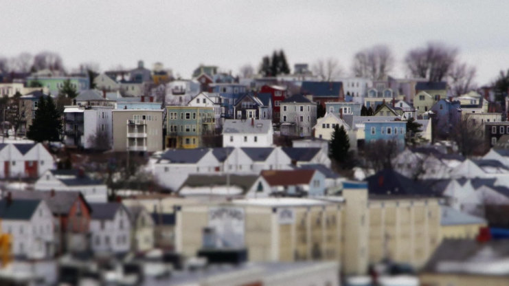Mini Maine