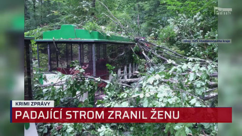 KRIMI ZPRÁVY - 3.8. v 19:40