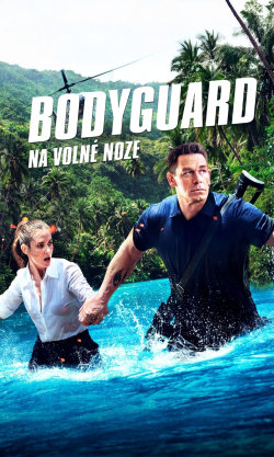 Bodyguard na volné noze