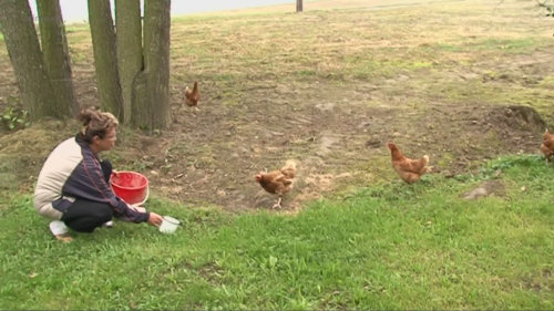 Prostřeno! II II (59)