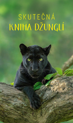 Skutečná Kniha džunglí