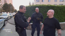 Policie v akci