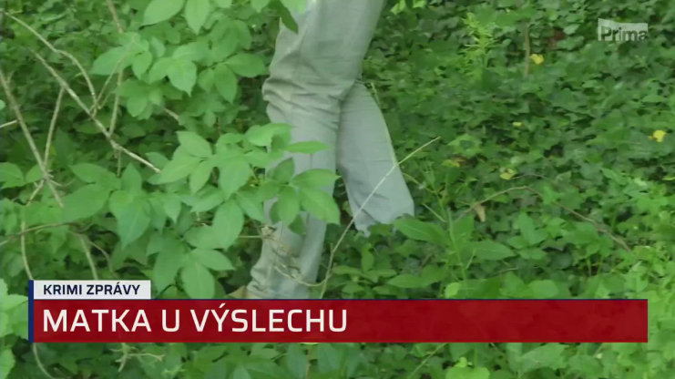 Náhled videa