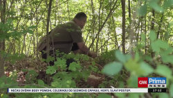 Houbaři vyráží na májovky