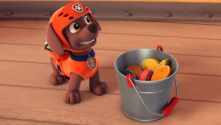 Tlapky zachraňují tučňáky / Tlapky zachrnují delfínka