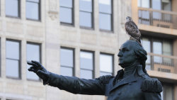 Na jachtě kolem New Yorku