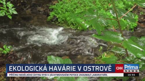 ZPRÁVY Z REGIONŮ - 15.9. v 16:55