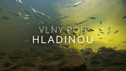 Vlny pod hladinou