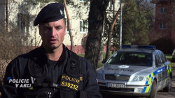 Policie v akci