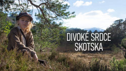 Divoké srdce Skotska