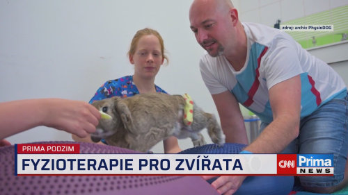 Prima ROK, 10.12. v 15:40