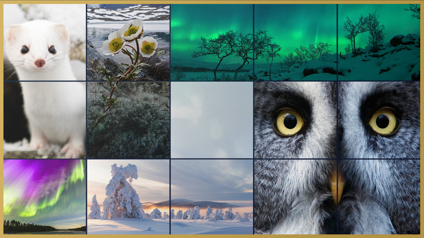 Laponsko: Příběh spících obrů