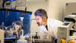 Skryté obzory: Arábie