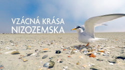 Vzácná krása Nizozemska