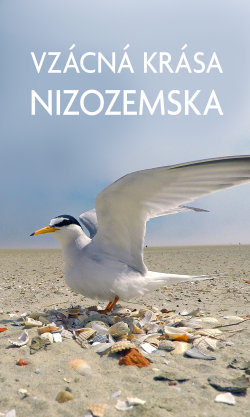 Vzácná krása Nizozemska