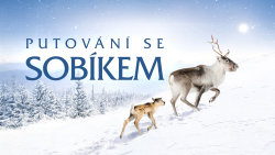 Putování se sobíkem