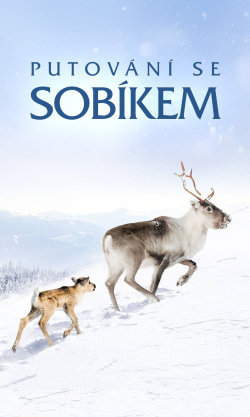 Putování se sobíkem