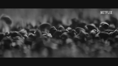 Trailer seriálu Rod Guinnessů