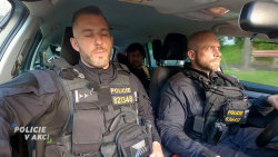 Policie v akci
