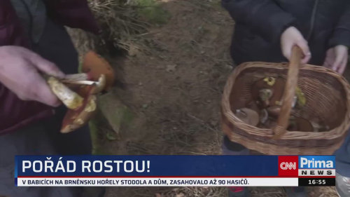 ZPRÁVY Z REGIONŮ, 18.10. v 16:55