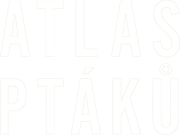 Atlas ptáků