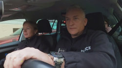 Policie v akci