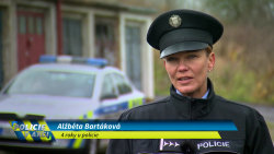 Policie v akci