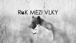 Rok mezi vlky