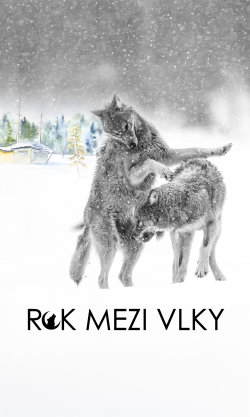 Rok mezi vlky