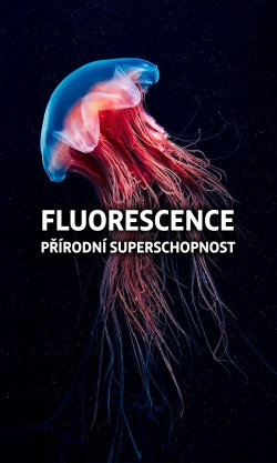 Fluorescence: Přírodní superschopnost