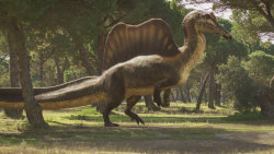 Nová putování s dinosaury